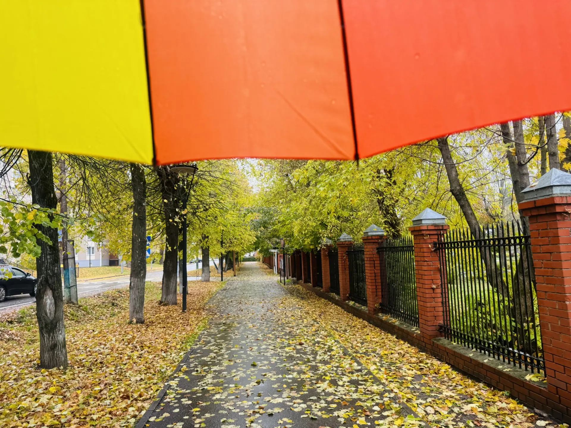 Осень…♥️🍁