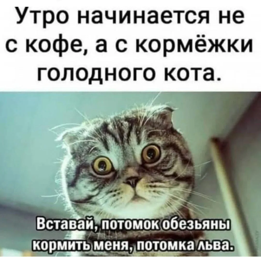 Доброе утро, друзья! 🌞