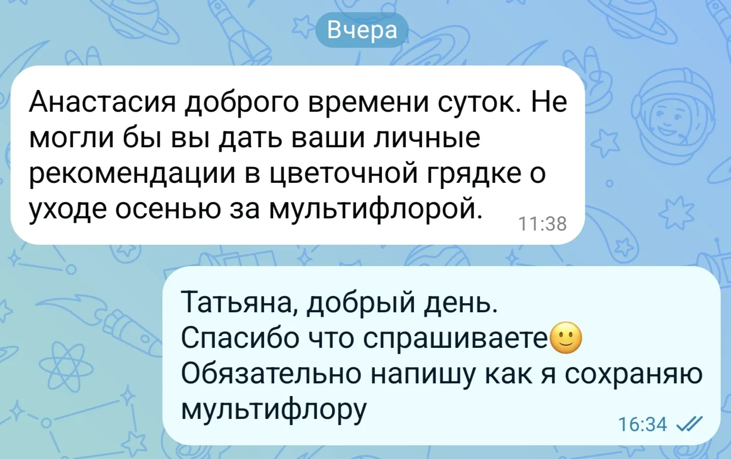 Вчера поступил вопрос о хризантеме мультифлоре.