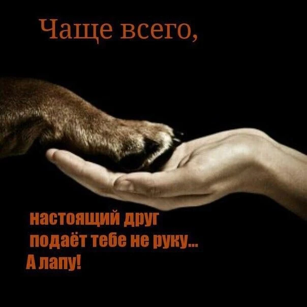 Всем Хай.