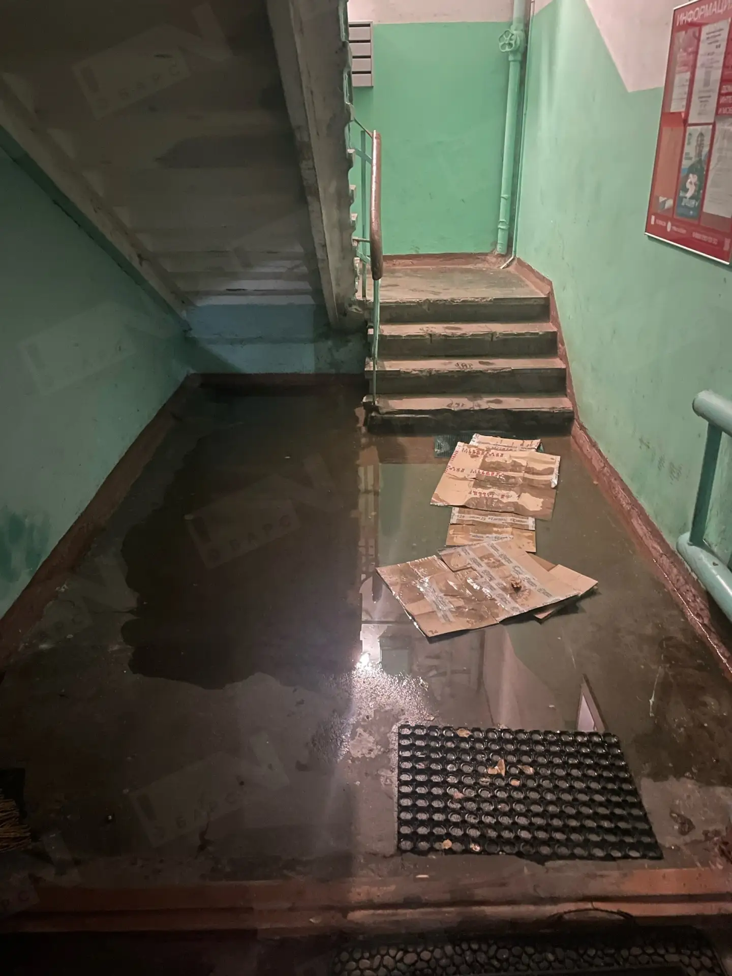 📬 из редакционной почты