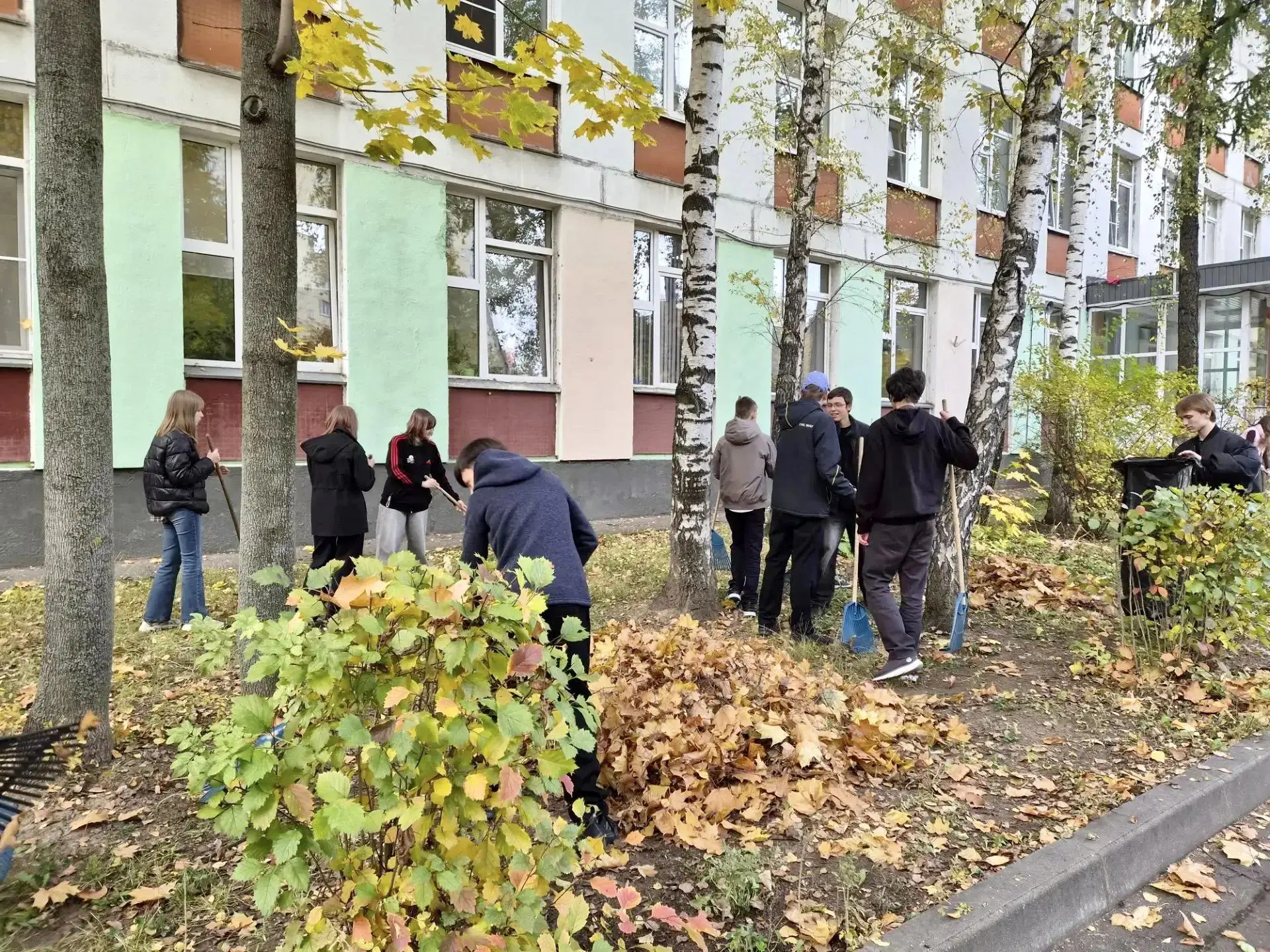 🍂 Осень зовёт к добрым делам