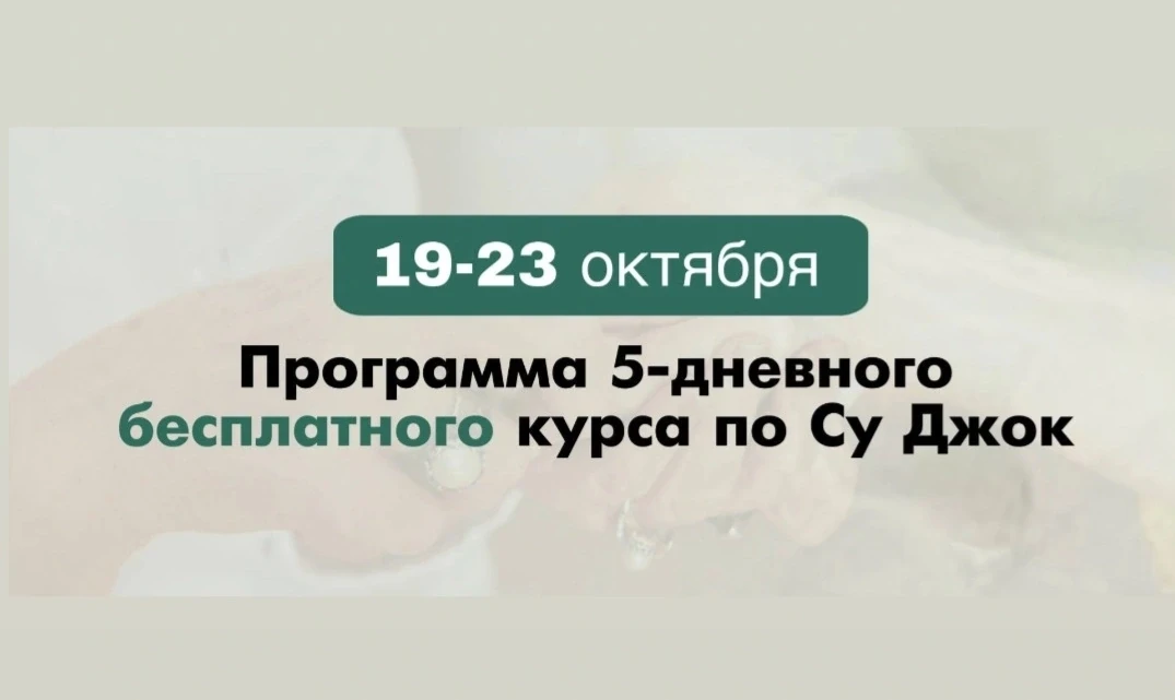 А что вообще вас будет ждать на бесплатном курсе?