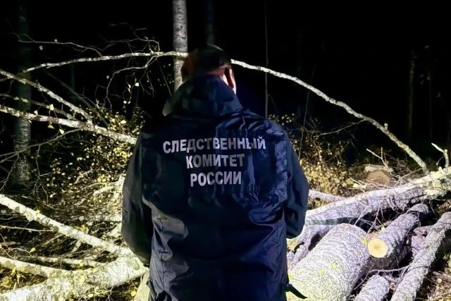Мужчина погиб во время лесных работ
