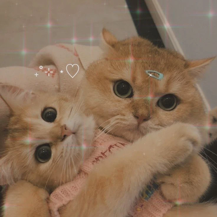 ❤️ Любовь выглядит именно так!