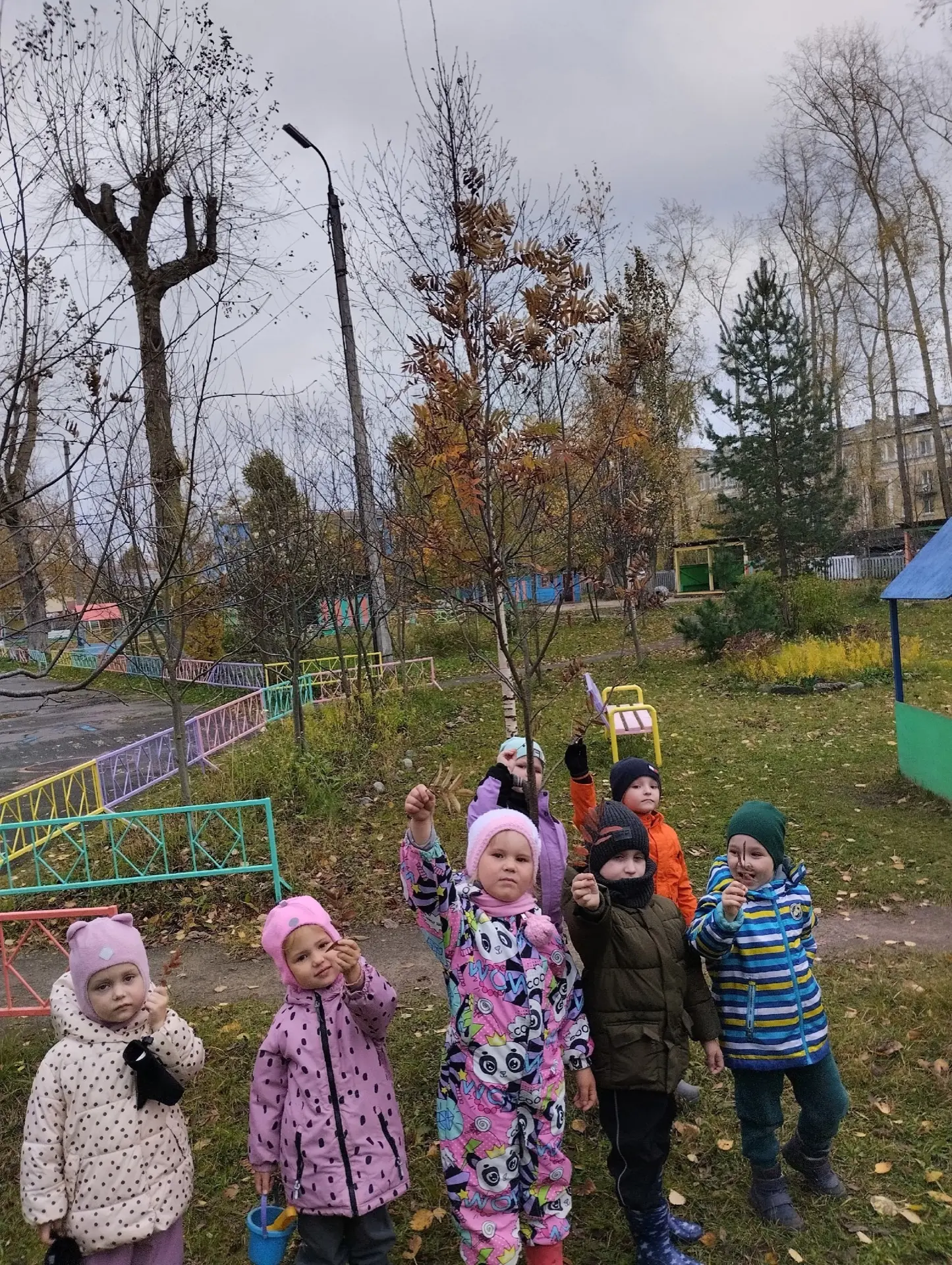11 октября отмечается День рябины красной🍂