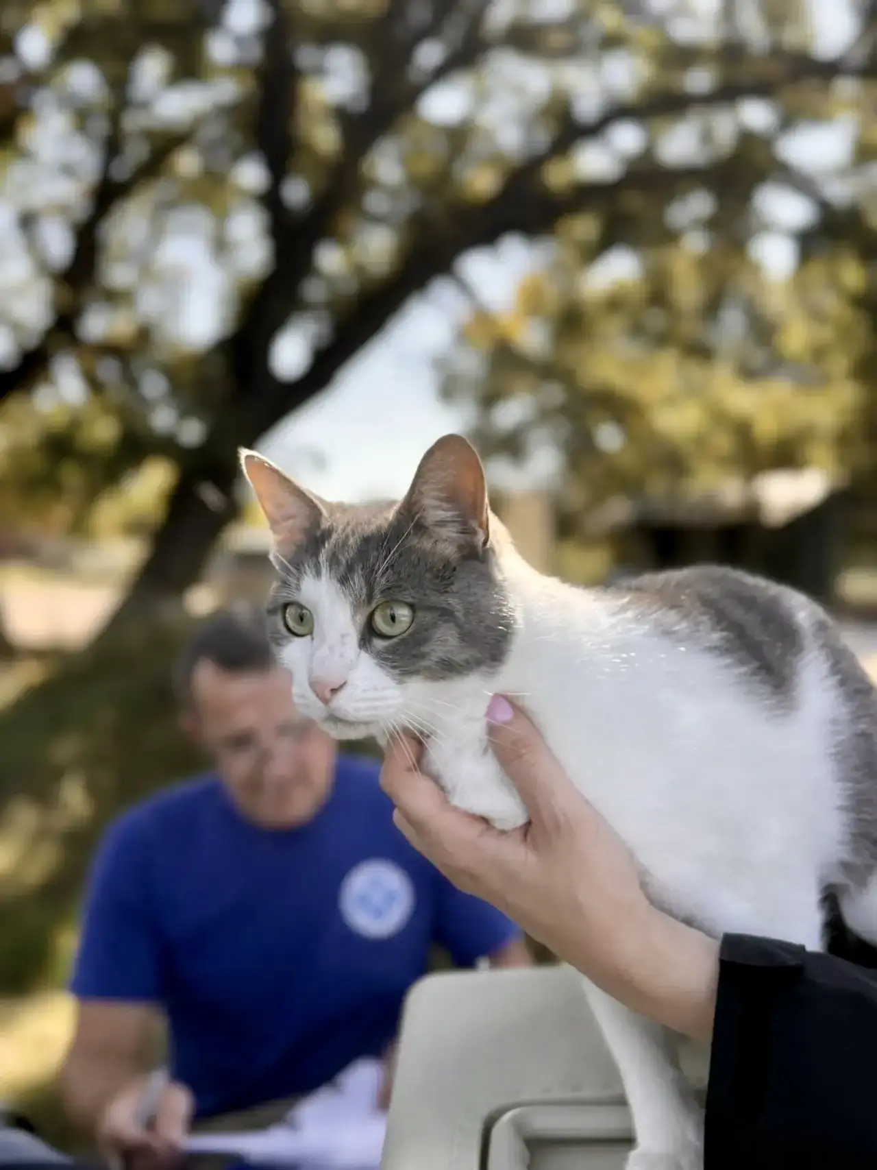 В минувшую субботу ветеринарные врачи провели профилактическую кампанию против бешенств...