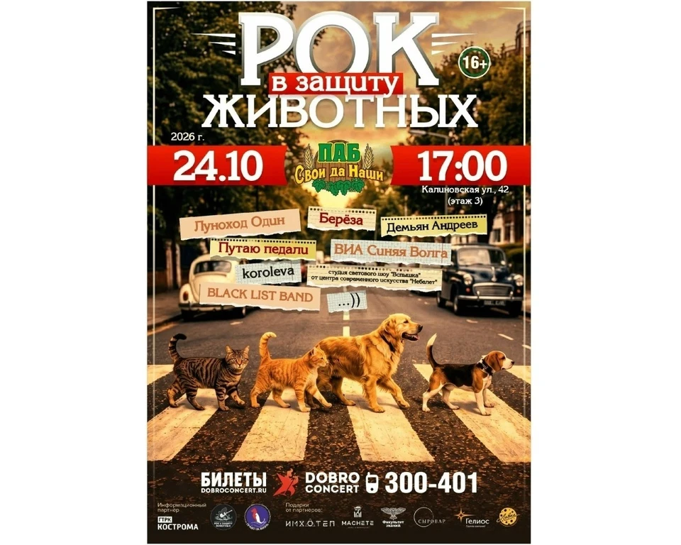 Благотворительный рок-фестиваль «Рок в защиту животных» пройдет в Костроме 24 октября.