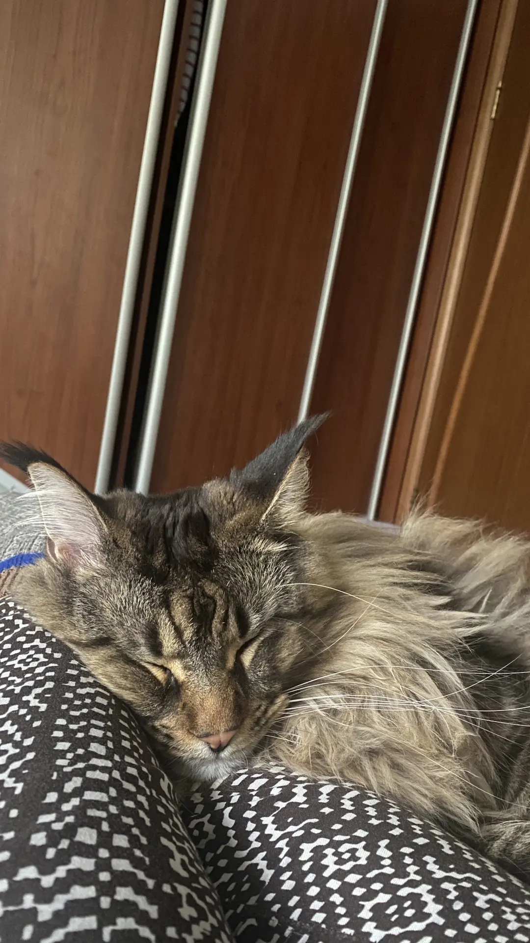 А это моя кусачая любовь 😻