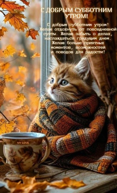самые лучшие