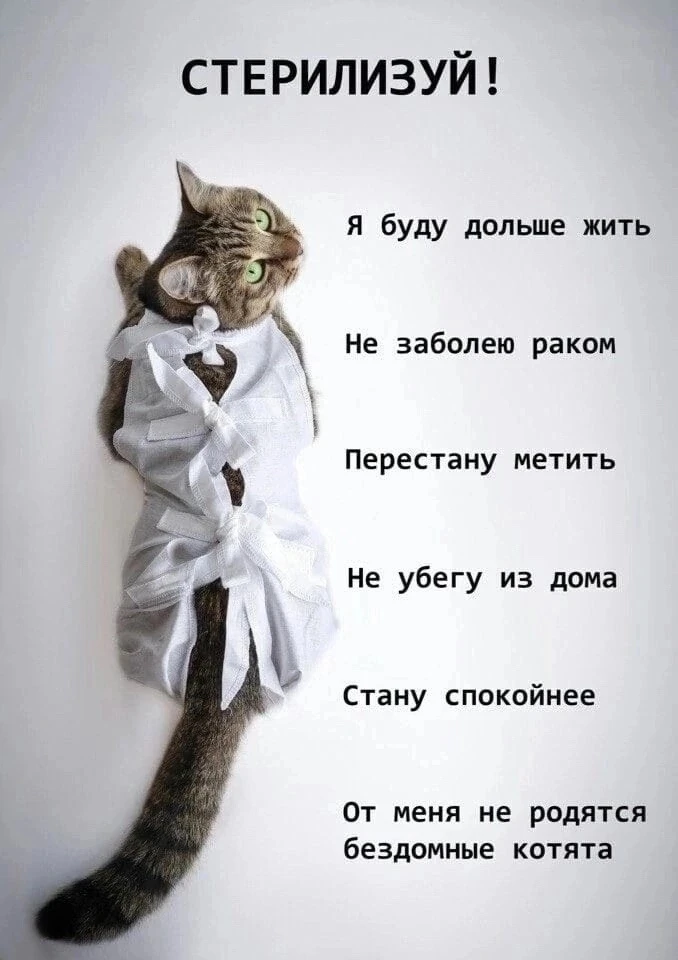 Вниманию жителей Богдановича и района. 🗓 15 октября 2026года