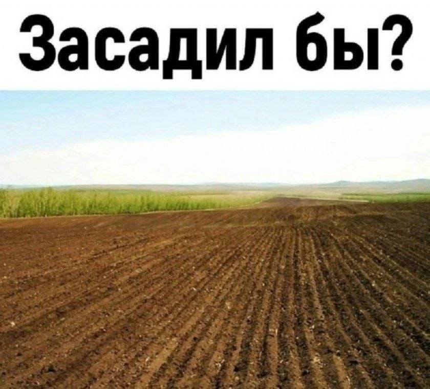 Недра Чили 🌶️ в телеграм