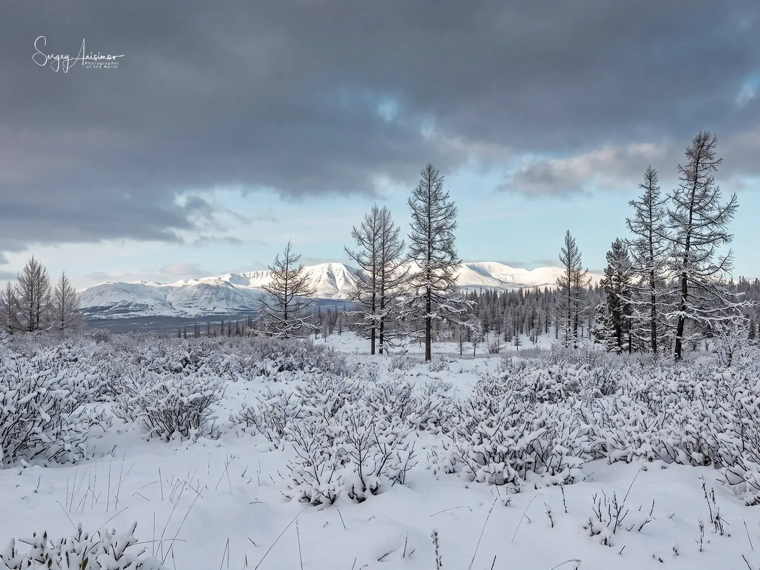 Осень по-Ямальски❄️