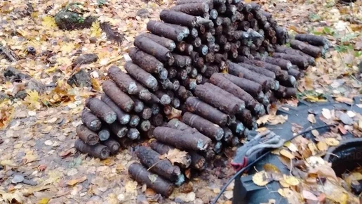 В Калуге в лесу нашли склад боеприпасов времён Великой Отечественной войны