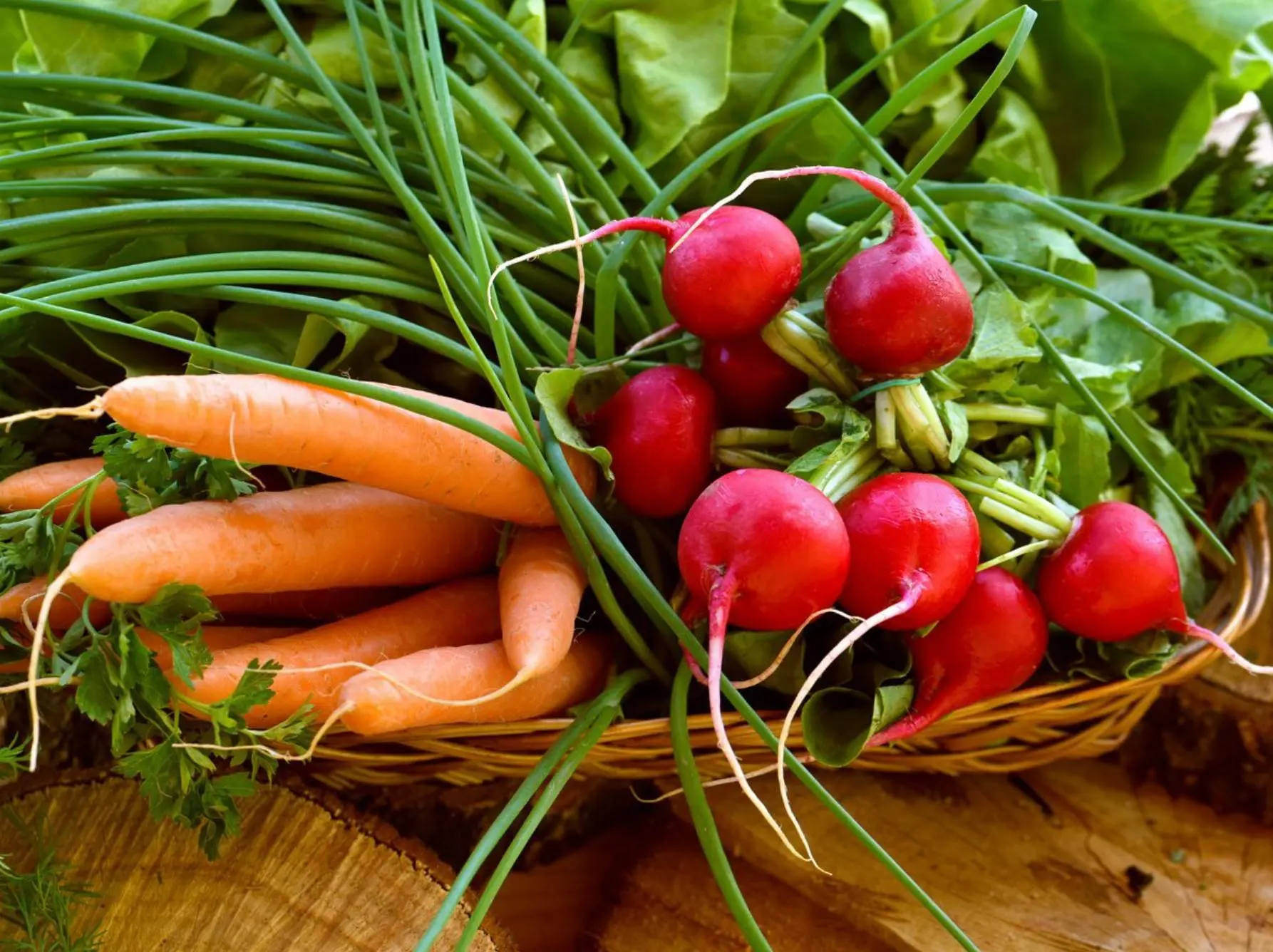 🥕 Овощная помощь: забайкальцам компенсируют потерю урожая