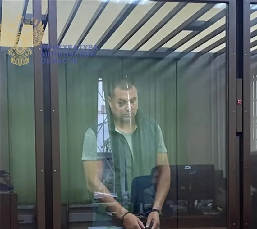 ⚖️ Водитель грузовика, под которым погибли мать и ребенок в Домодедово, полностью призн...