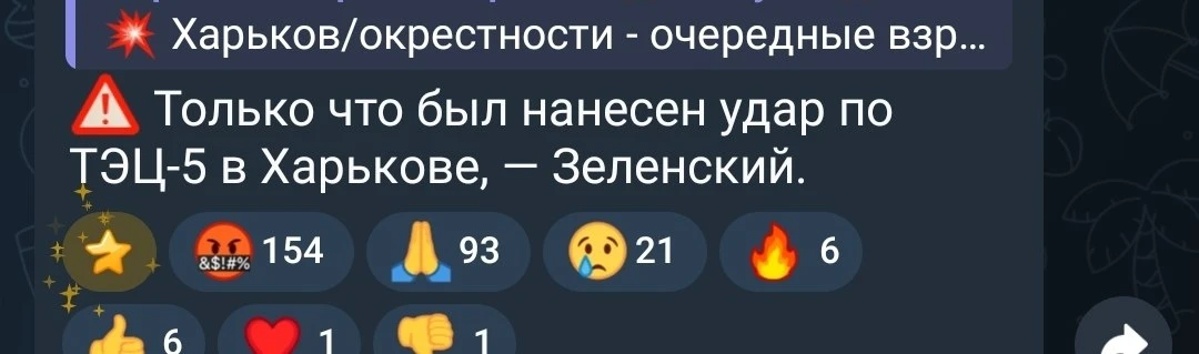 Это чтобы ты, сука, не сомневался в нашем миролюбии.