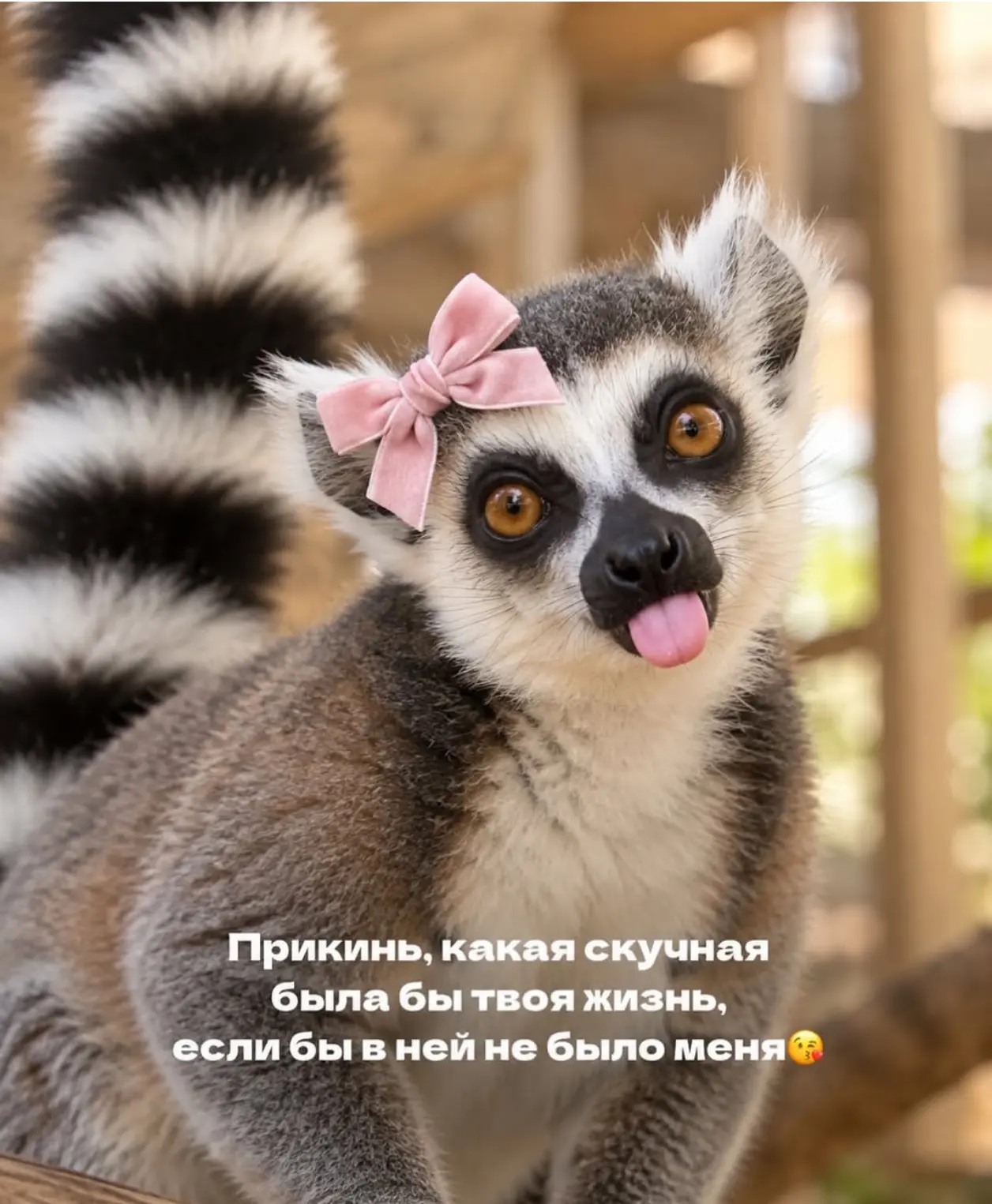Доброе утро))