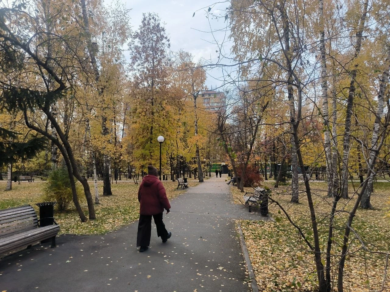 Атмосферный фронт несёт в Новосибирск промозглую погоду. Днём термометры покажут всего ...