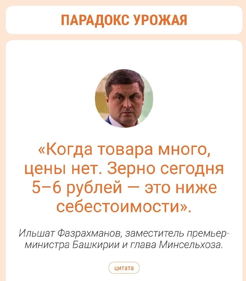 🌾 Урожай рекордный, а заработать не получается