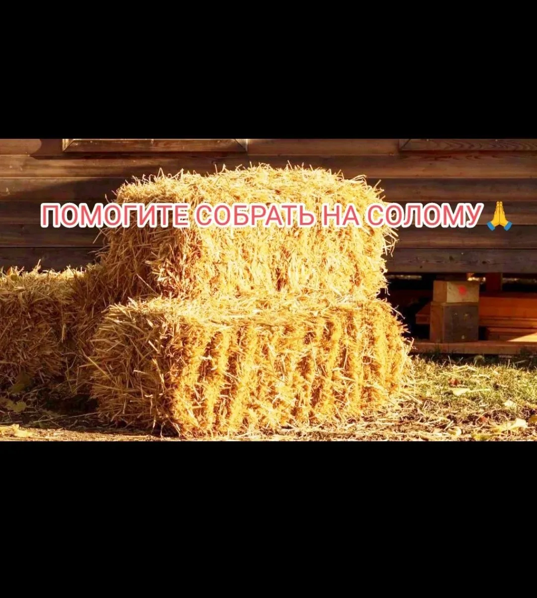 Друзья! Надвигаются холода! Уже через несколько дней похолодает‼️Нам срочно надо утепля...
