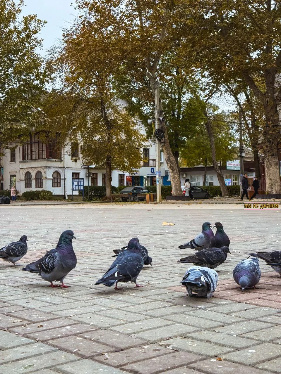 Доброе утро, Джанкой!