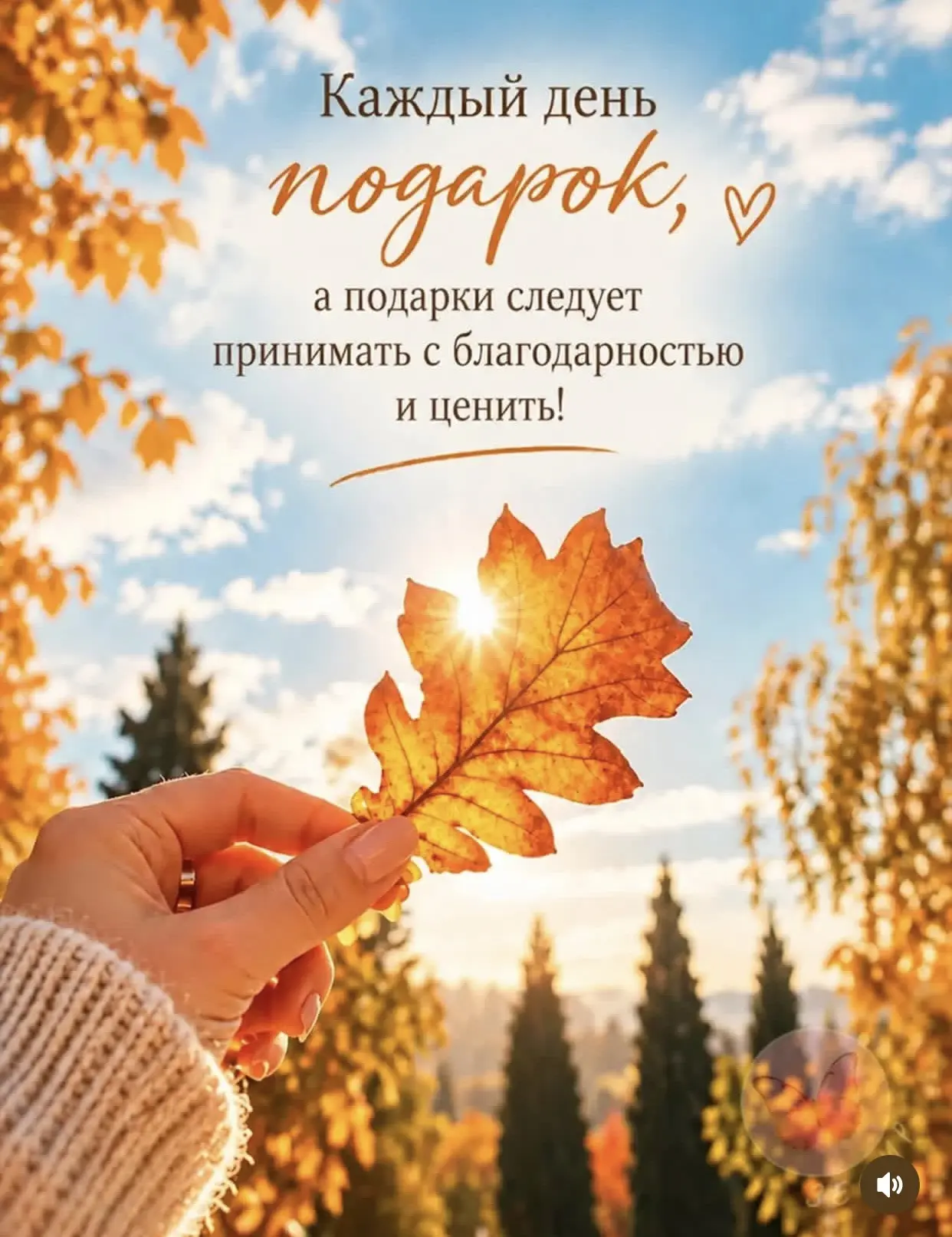 🍁🍁🍁Каждый новый день — это Божий подарок…🙏❤️