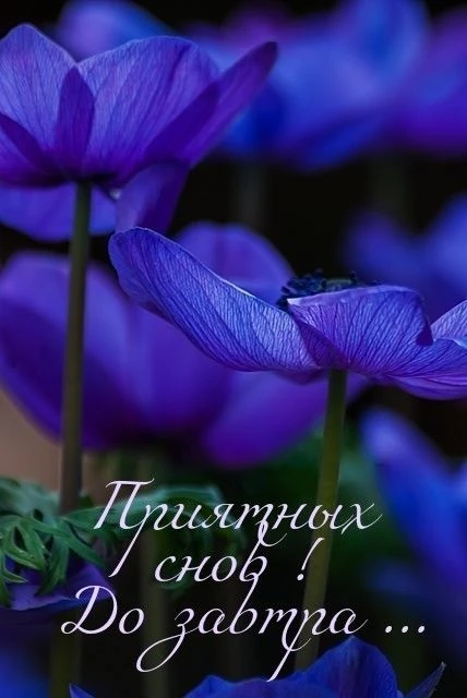 💜💜💜