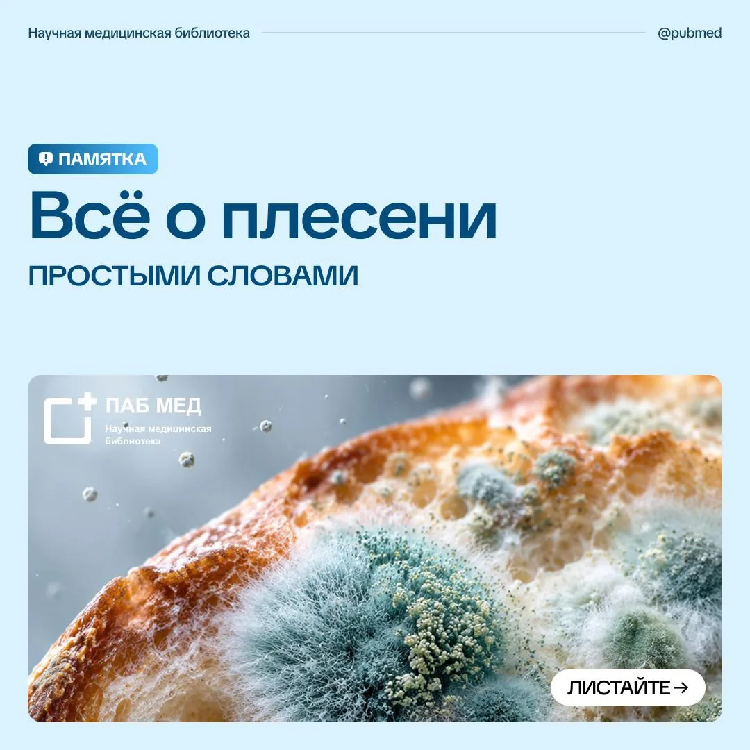 Плесень на стене, хлебе или забытом продукте в холодильнике может выглядеть по-разному,...