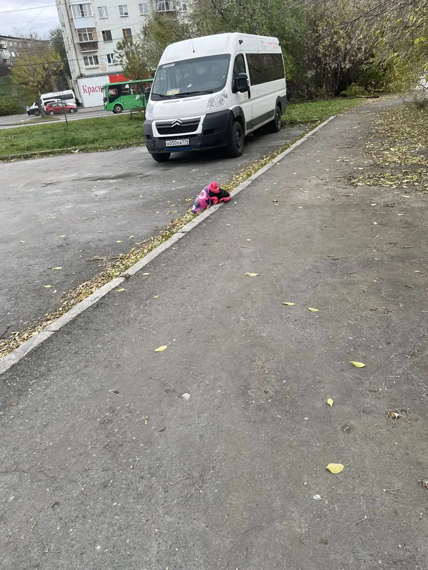 Кто-то забыл у ДК