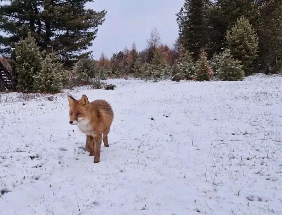 ❄️ Вот и зима на Байкале
