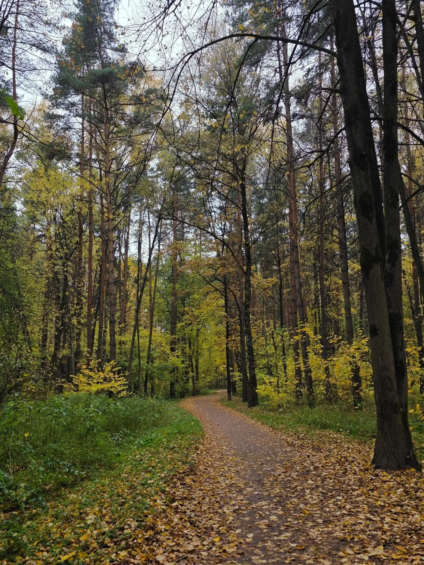 🍂 Осень прекрасна🍁