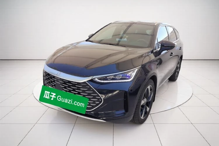🚗 BYD 2024