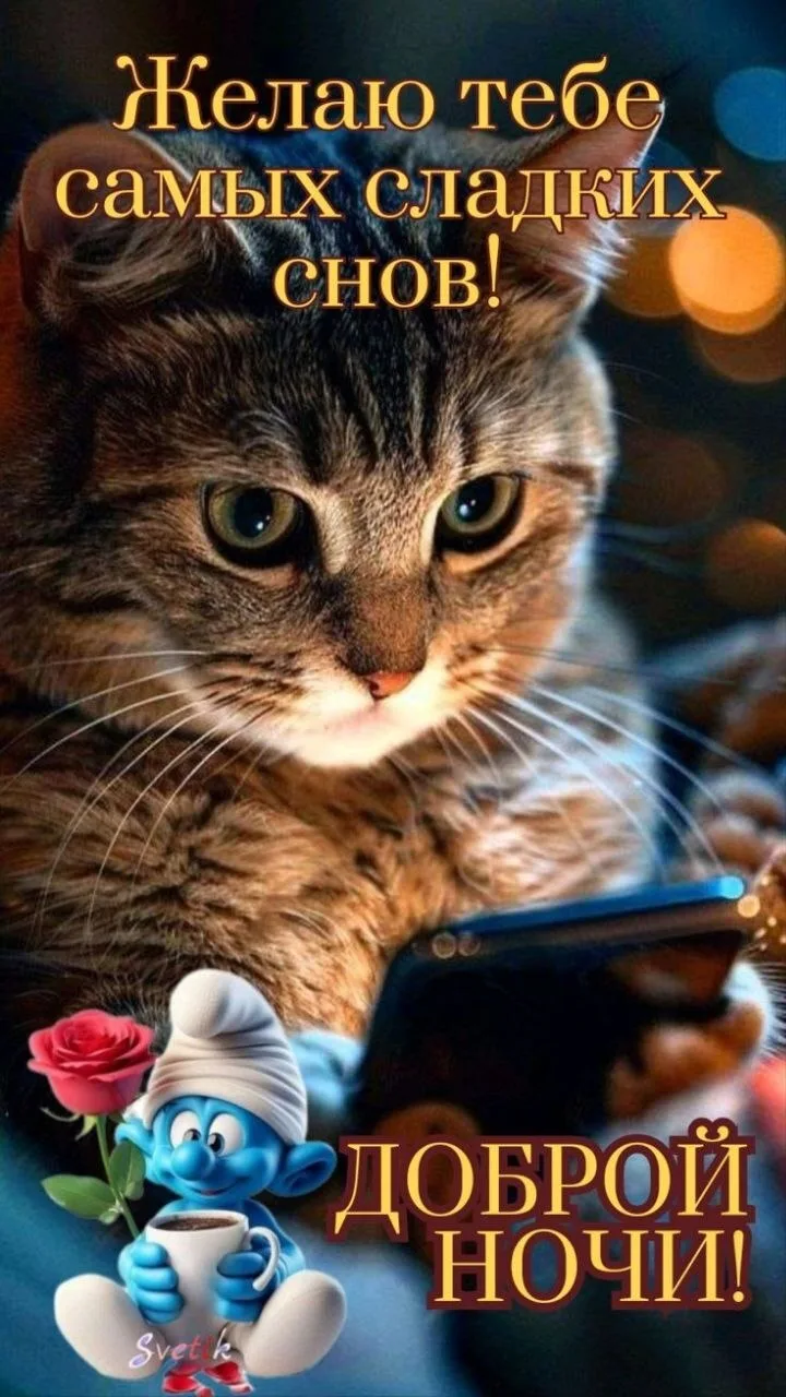 🥰 Оставляйте реакции, если понравилась открытка и делитесь с близкими ❤️