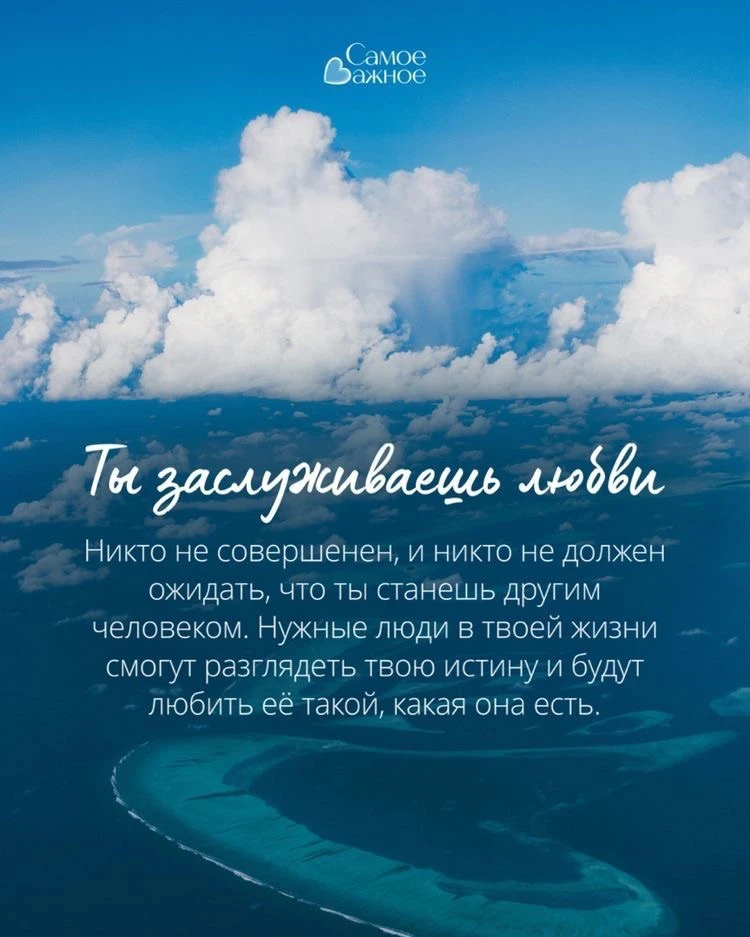 Кошечки мои, сладких снов! 😴