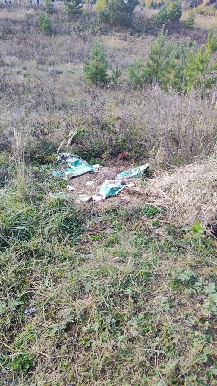 Приезжая на городское кладбище, я постоянно вижу такую картину возле могил (в том числе...