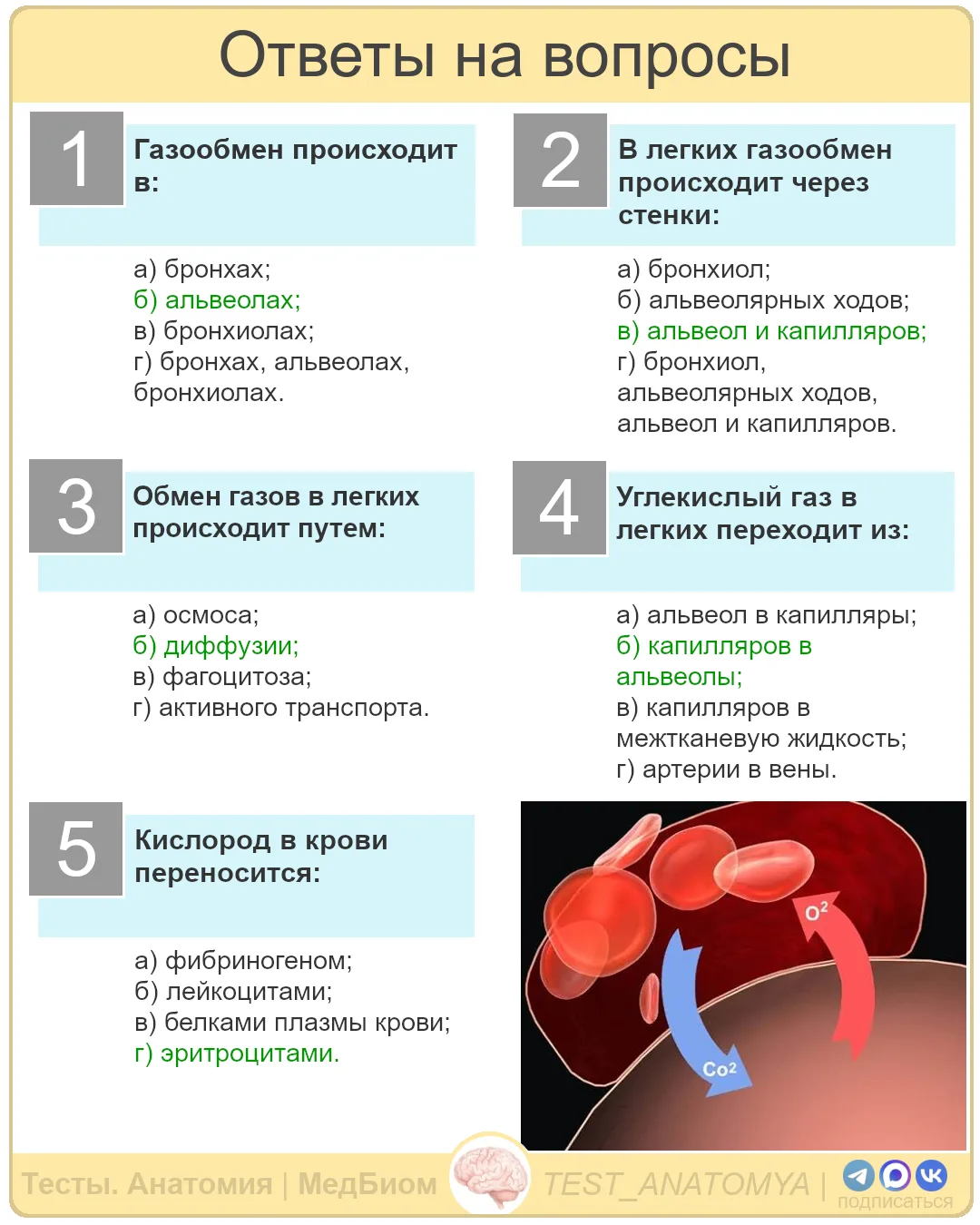 ⬆️ Ответы на вопросы