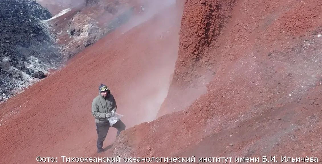 «Красные приливы» на Камчатке: учёные нашли связь с вулканами