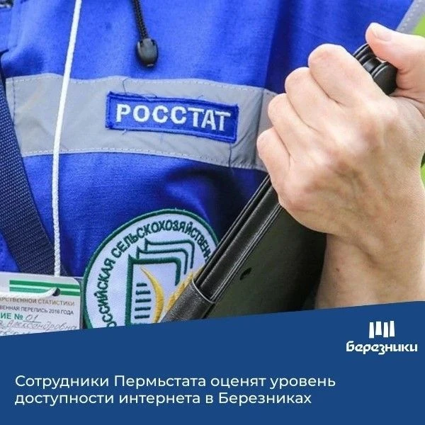 С 12 по 18 октября в Березниках пройдёт опрос об использовании интернета и госуслуг.