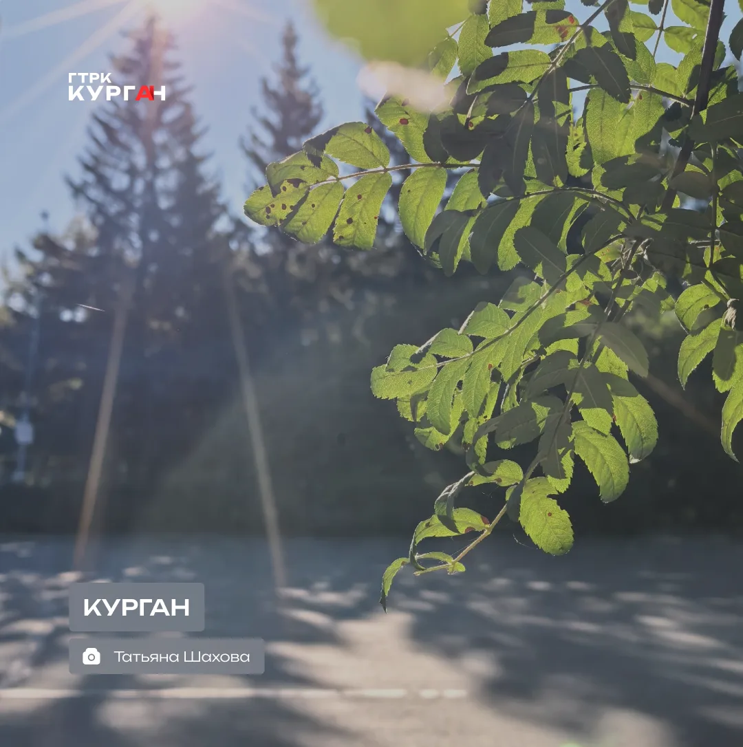 🌤 Доброе утро, зауральцы!