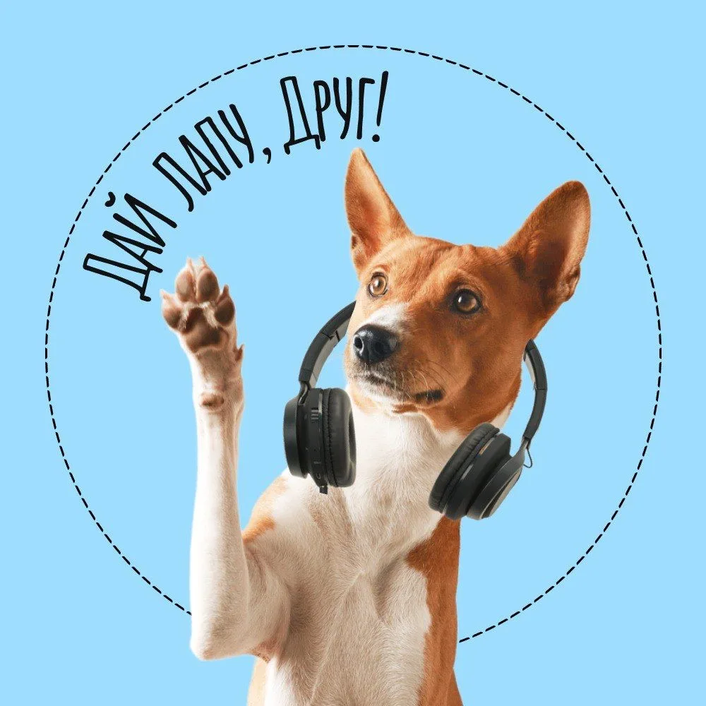 🐾 «Дай лапу» — поможем тем, кто ждёт нас!