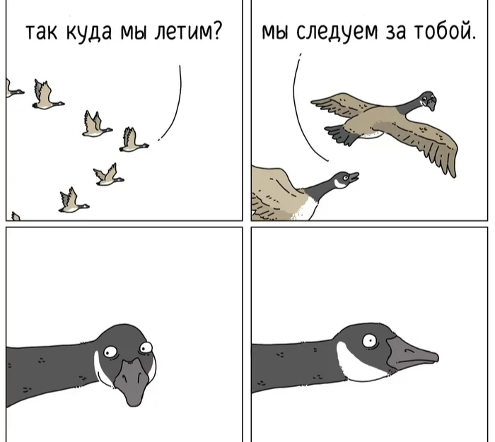 🦆 В Пермском крае начался массовый пролёт гусей и уток на юг — при этом в регионе уже ...