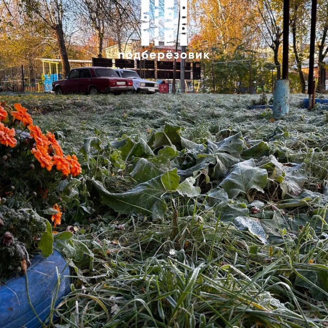 ☁️ Доброе утро, Берёзовский