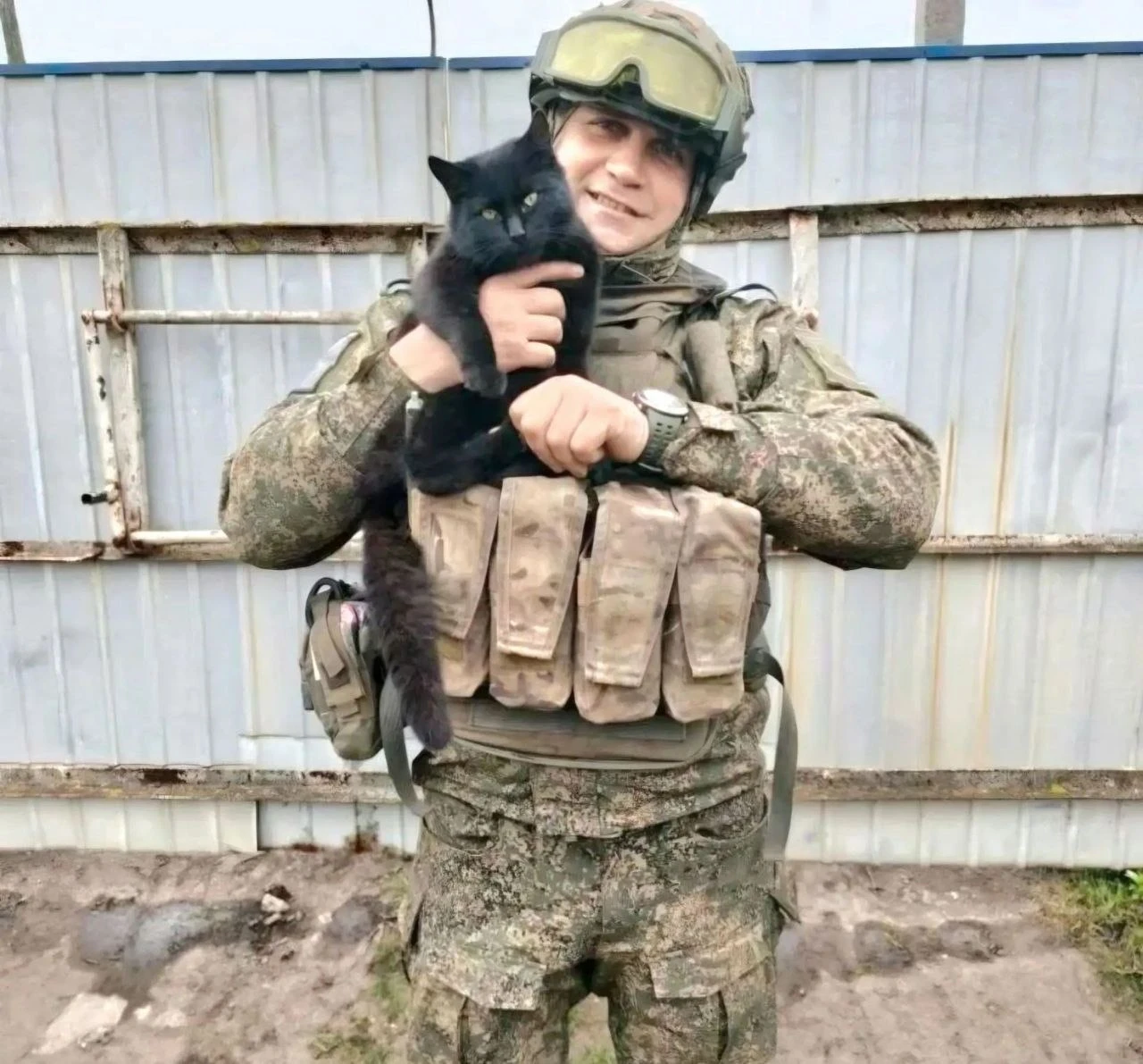 Орден Мужества, кот и вера