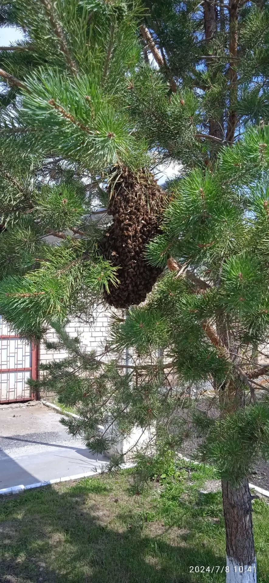Присылайте Ваши фото в "Предложить пост"