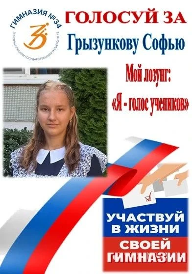 Финишная прямая: выборы президента гимназии! ✨