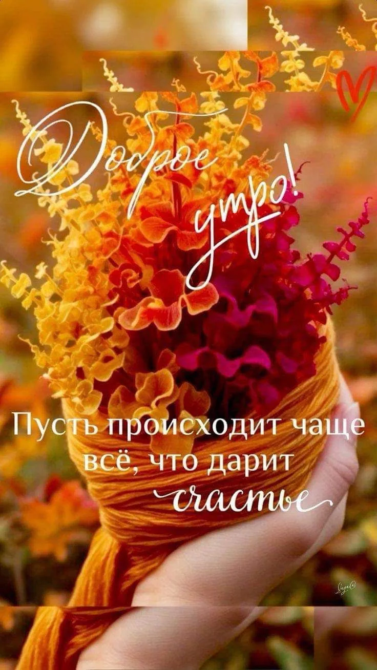🧡🧡🧡
