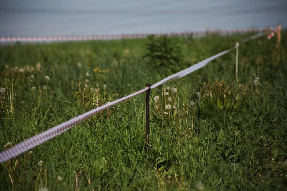 Прокуратура Пермского района провела проверку соблюдения земельного законодательства и ...