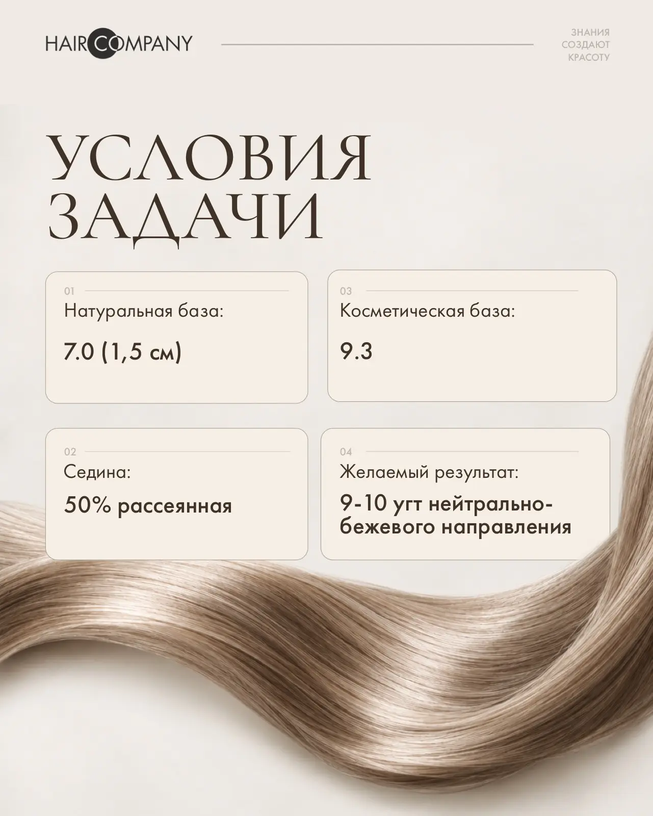 Как бы вы решили эту задачу с помощью Hair Company?