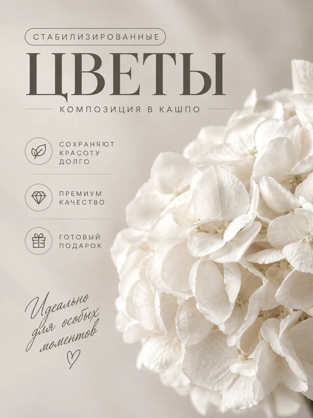 🤍 Больше, чем цветы- украшение вашего пространства.